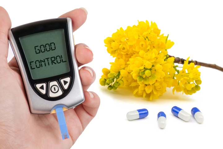 A new plant-based pill significantly improved blood sugar control in type 2 diabetics