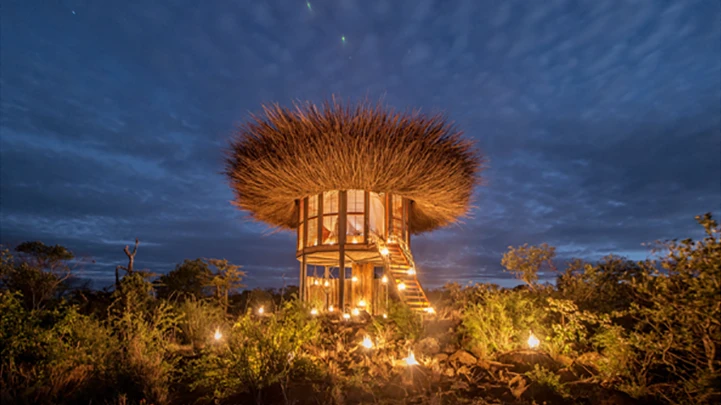 The Bird Nest hotel is Intended as a luxury bush retreat