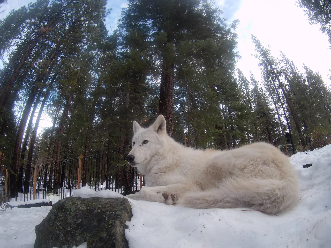 Photo taken with the Mokacam