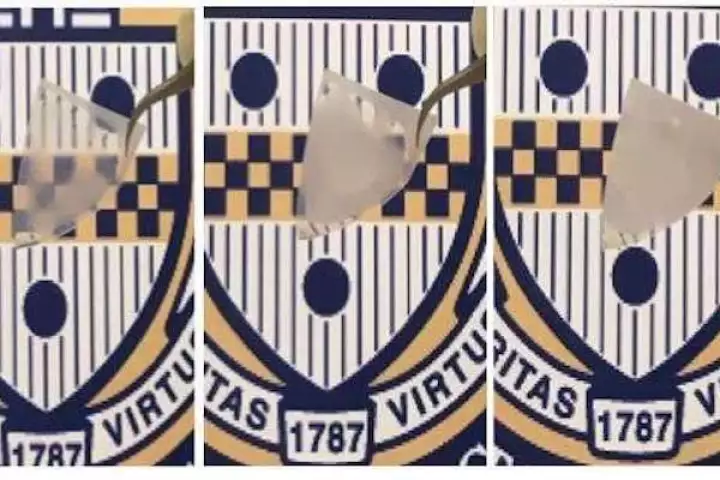 Thanks to its nanoscale "grassy" structure, a new kind of glass can switch between clear and cloudy in seconds just by adding or removing water