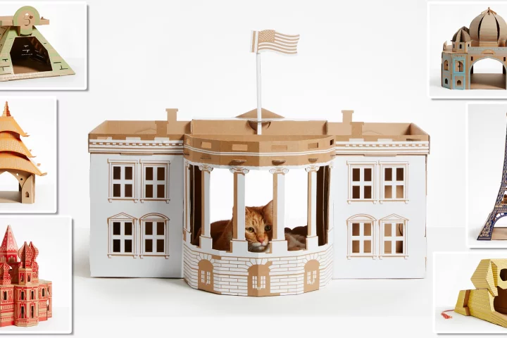 Poopy Cat's latest project puts a cat in the White House