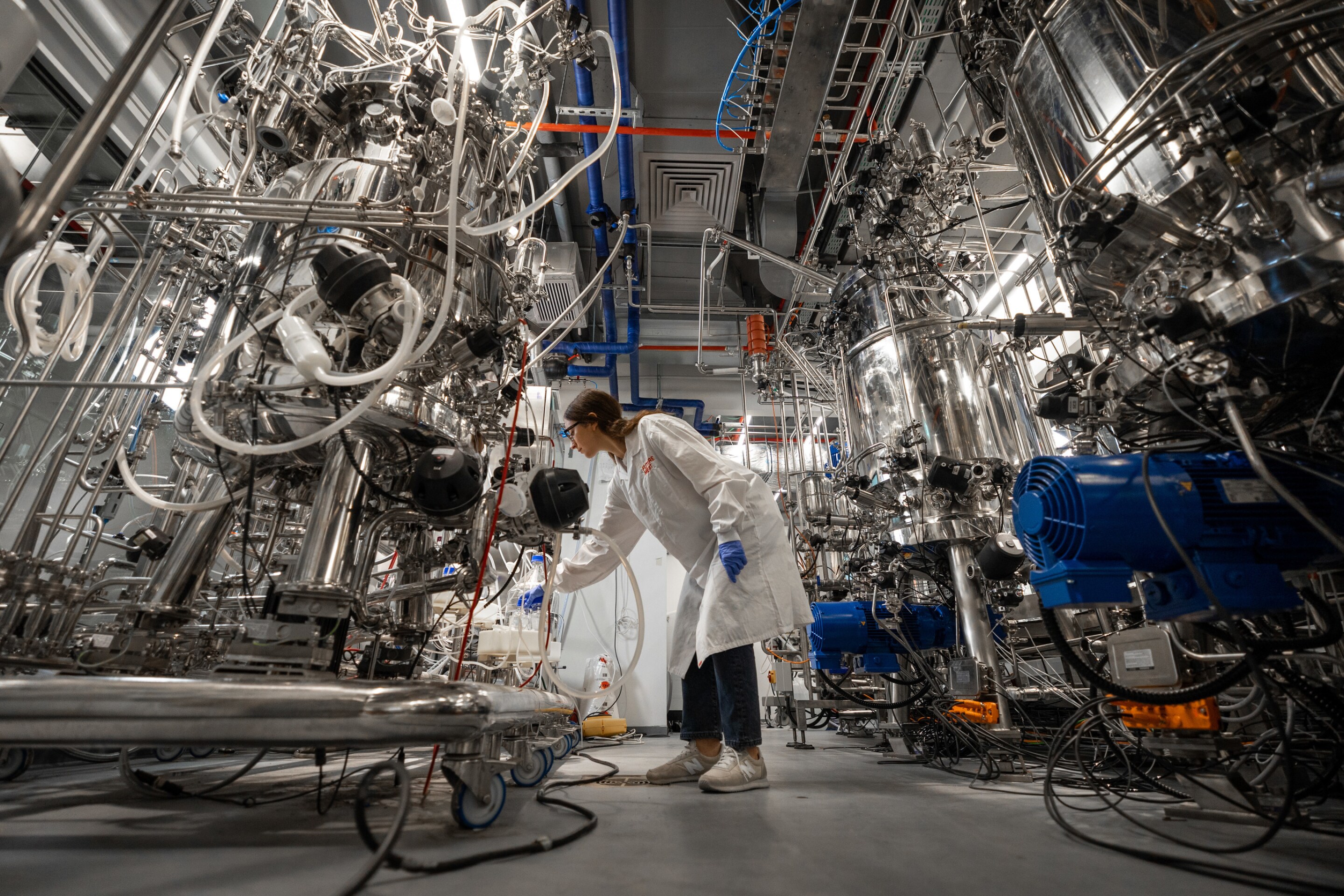 Future Meats drives cost of labgrown chicken down to 1.70 a breast