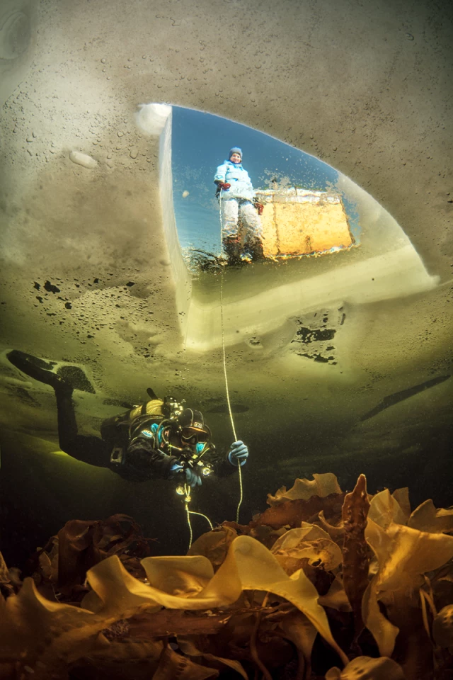 1st Place - Wide Angle. Nikon D750 in a Subal housing; Nikon AF-S Fisheye Nikkor 8-15mm f/3.5-4.5E ED lens, f/9; 1/100; ISO 200