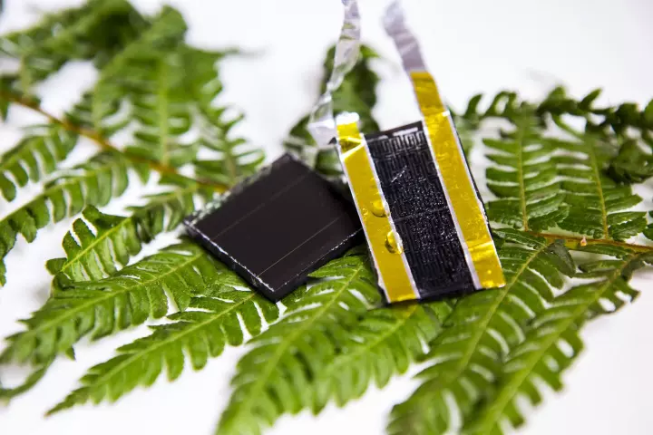 A new electrode design, inspired by the fractal pattern of veins in a fern leaf, could boost the energy capacity of supercapacitors 30 times over