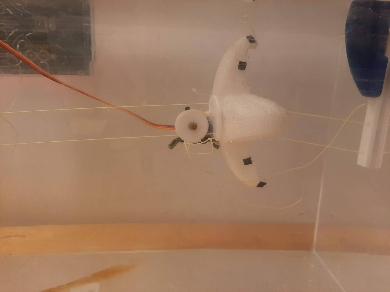 The robo-starfish in its test tank