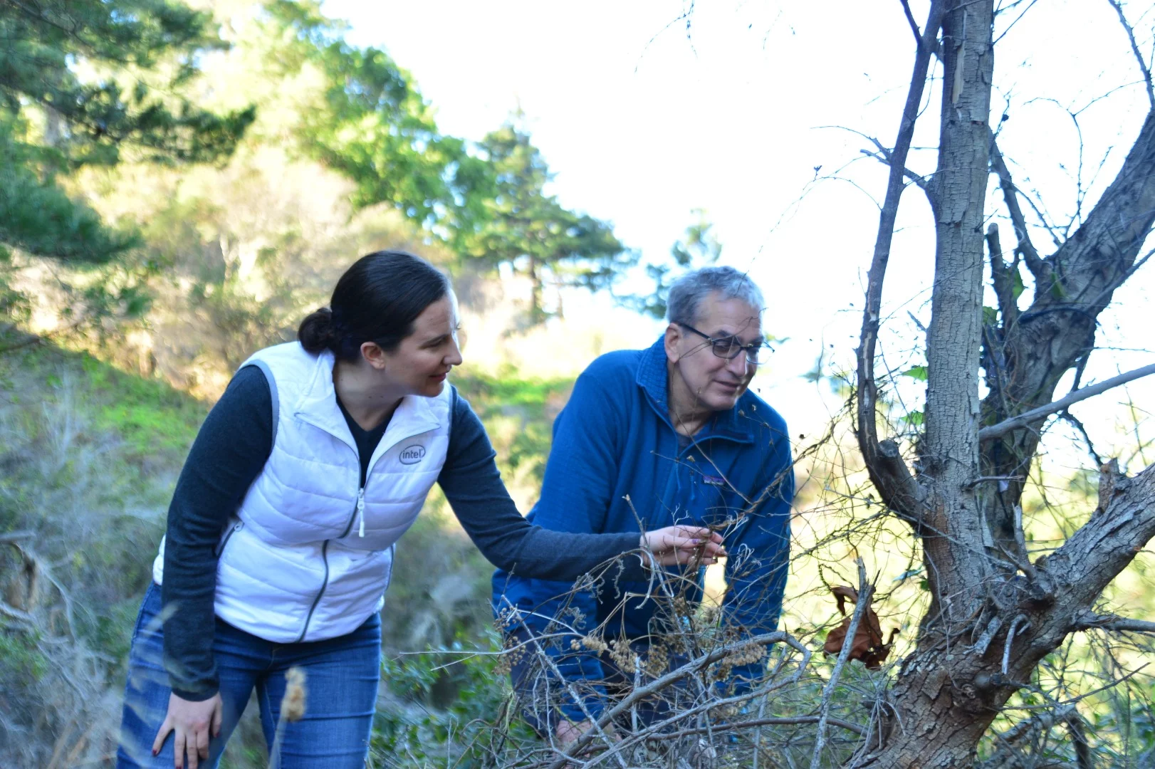 TrailGuard AI will be deployed in 100 reserves across Africa in 2019