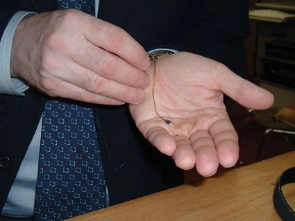 The BrainGate array fits in the palm of a hand