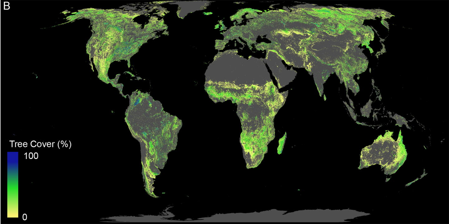 This chart shows the total land available that can support trees, including what's currently covered with trees and what could be reforested in future