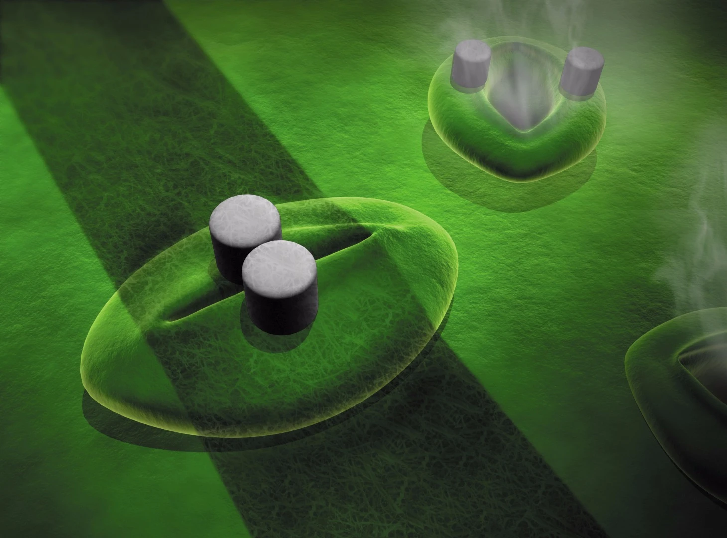 An illustration depicting how one of the sensors might be deployed across an individual stomata