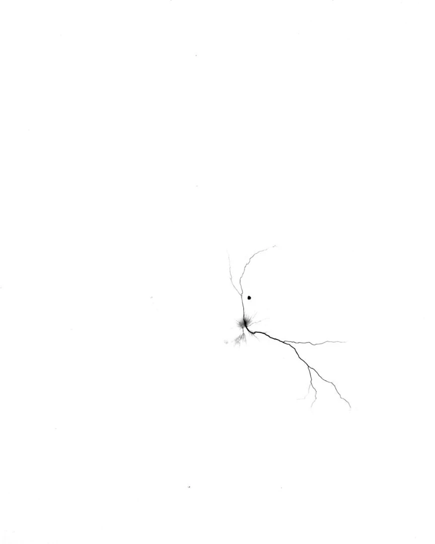 The Plastic spark