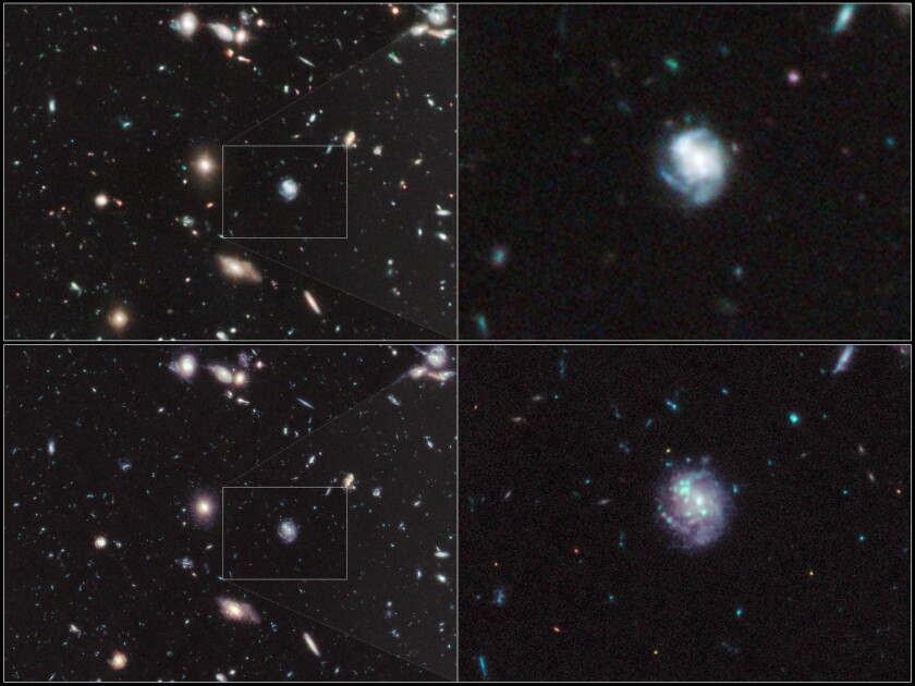 The two images at the top show the Hubble Ultra Deep Field, while the two images at the bottom are simulations of what the deep field may look like with JWST/NIRCam (Image: HST/NASA)