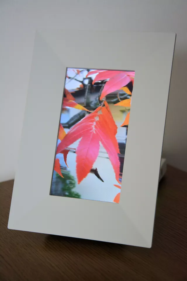 This depth-enhanced image looks much more impressive on the Looking Glass Go display