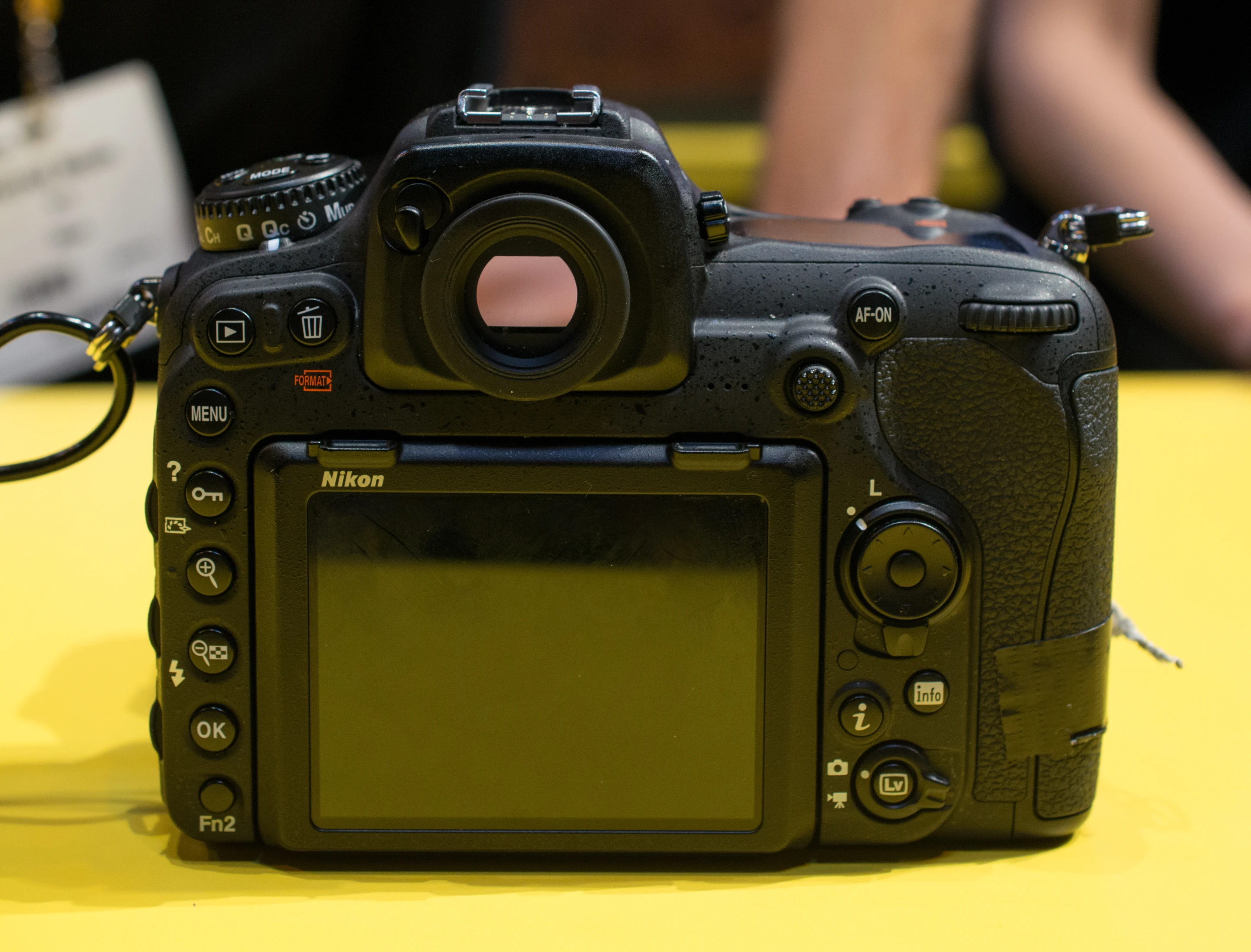 The 20.9-megapixel image from the Nikon D500 offer a good level of detail