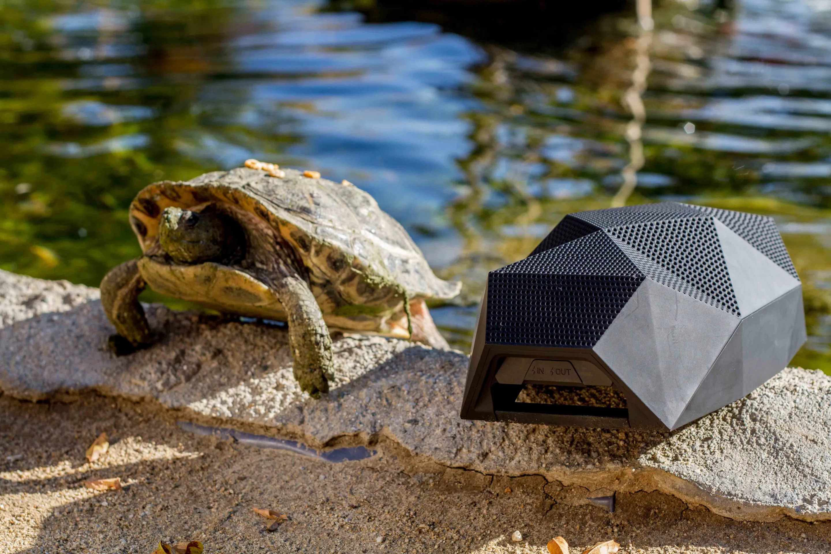 The BIG Turtle speaker may not be as comfortable with water as a real turtle, but it's not afraid to get splashed, either