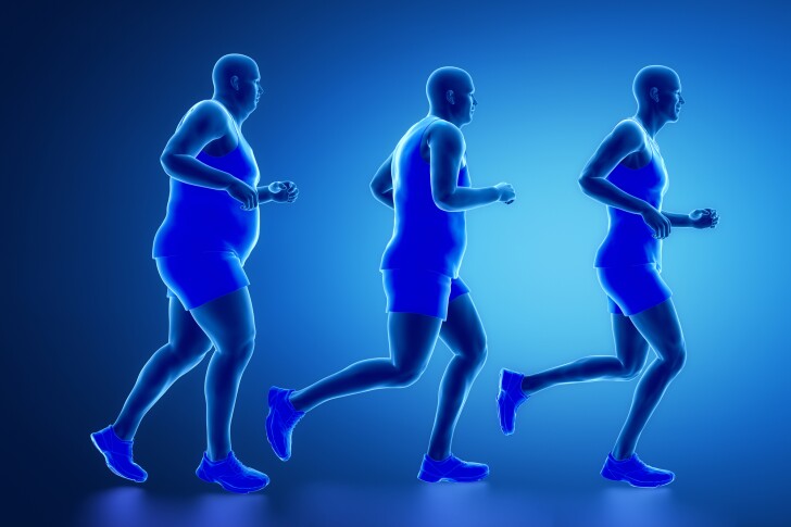 A synthetic peptide has shown new potential in a bid to keep obesity at bay