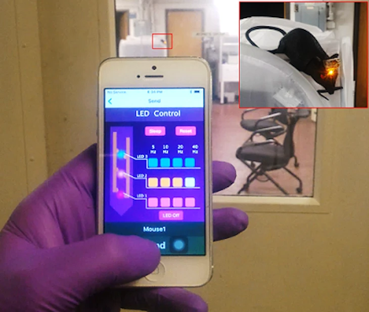 KAIST's plug-and-play brain implant can be controlled by a smartphone
