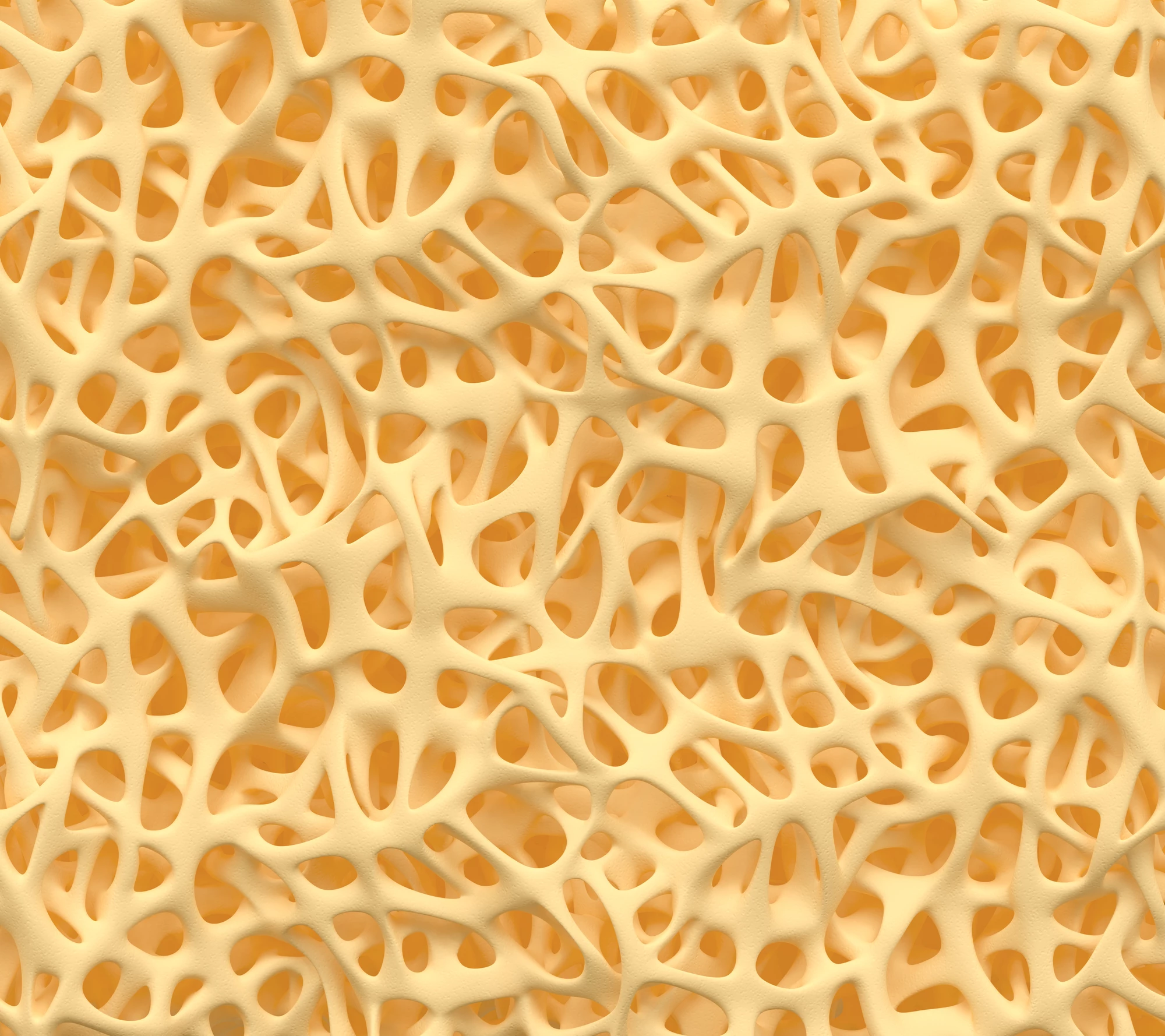 The FmocFF/HA hydrogel mimics the extracellular matrix of natural bone tissue (pictured)