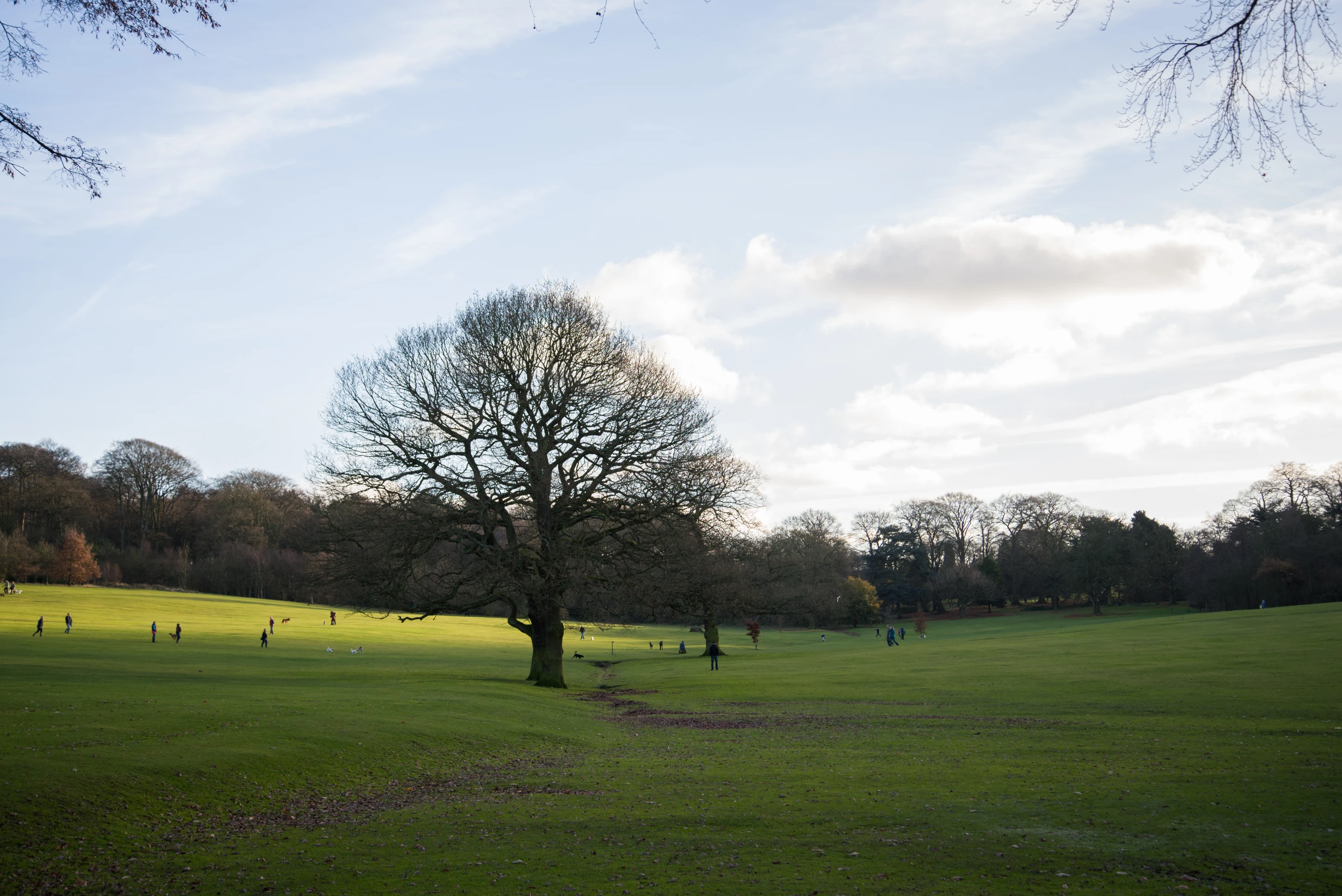 RAW images can withstand a significant amount of editing such as pulling highlights or shadows, which is a testament to the dynamic range of the D600
