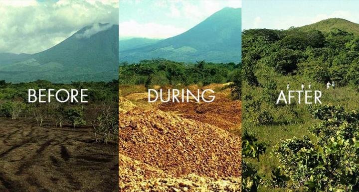 Before, during and today