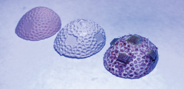 The structures are seeded with fragments of live coral (right)