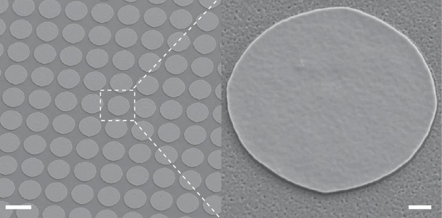 It's not much to look at, but that's a SWED (sub-cellular sized wireless electronic device) smaller than a blood cell, seen through a scanning electron microscope