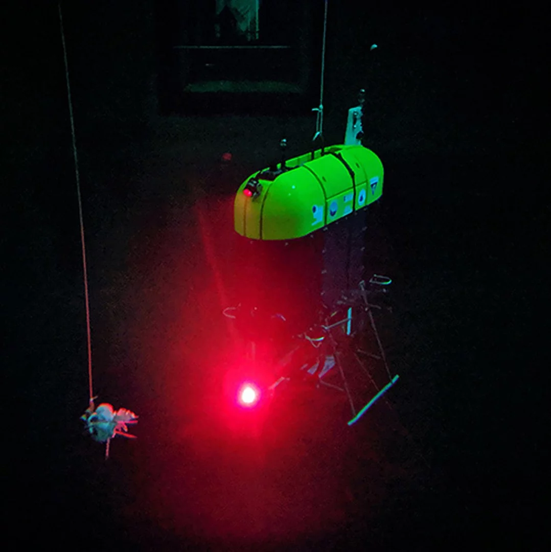 Mesobot tracking a simulated marine animal (white object on string) in MBARI’s test tank