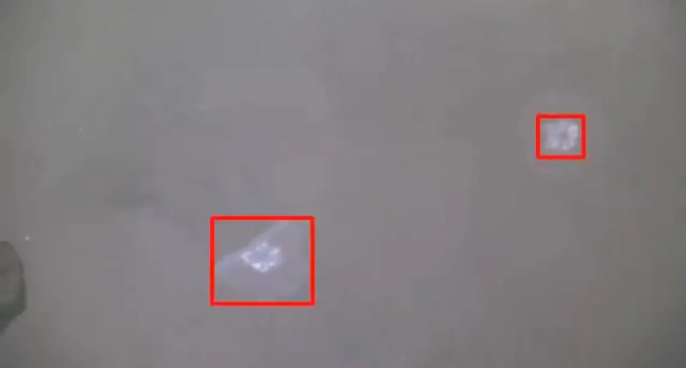 A camera also scans the surface of the water, while the built-in computer processes the images to identify any jellyfish within range by their shape