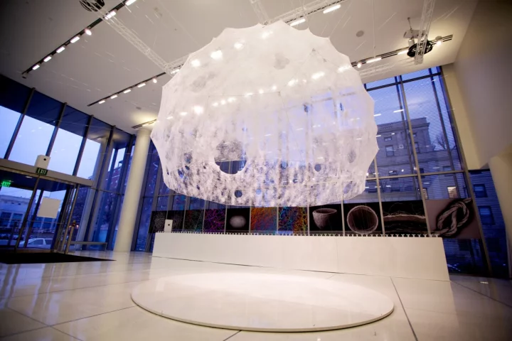 MIT Media Lab's Silk Pavilion (Photo: Mediated Matter Group/Steven Keating)