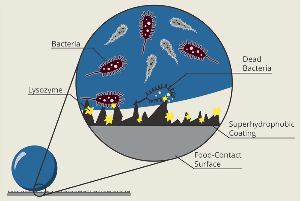 A close-up diagram of the coating