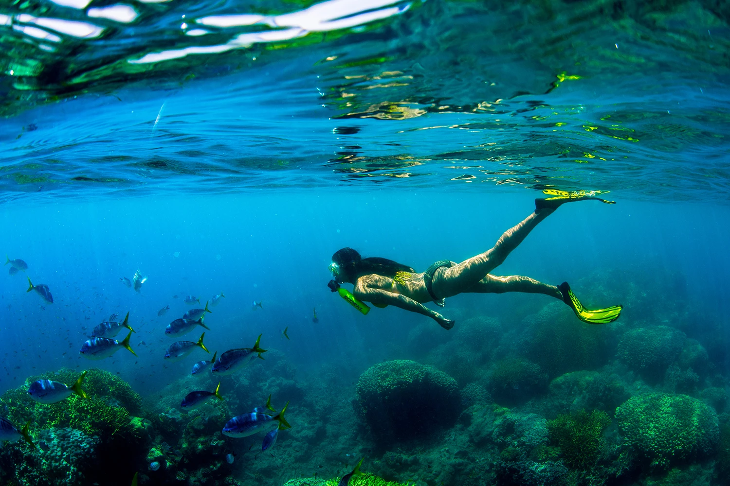 The Scorkl offers new worlds of exploration. Instead of holding your breath for 15 to 20 seconds for each exploratory venture underwater as you would do without assistance, the Scorkl expands your underwater range by 30 to 60 times.