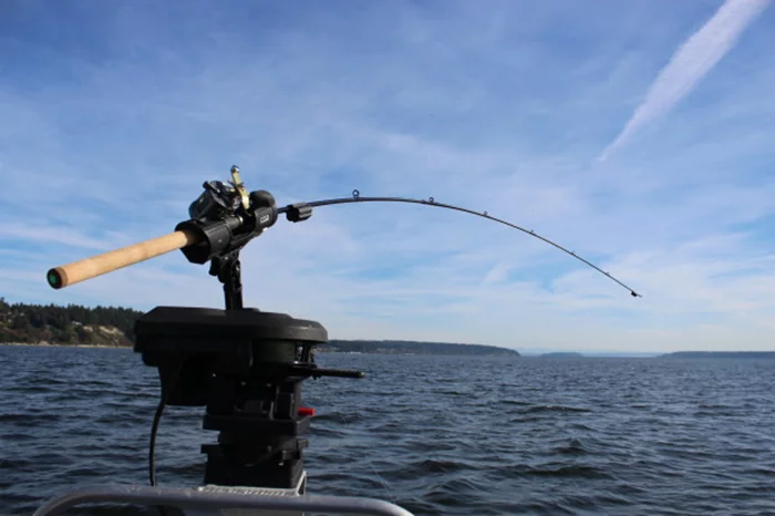 FishSentry's range of rods are fitted with sensors both at the tip and base