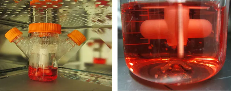 The spinning bioreactor used in the research