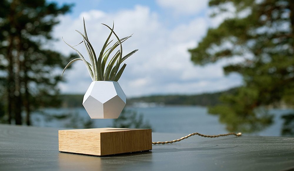 The Lyfe levitating planter uses maglev technology to keep the plant suspended in midair and slowly rotating