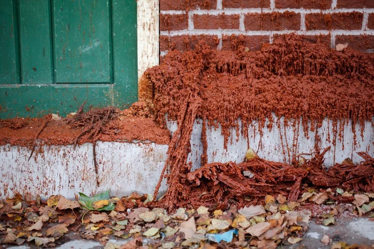 A pound of flesh for 50p was created for London’s Bankside Merge Festival (Photo: Tommophoto)