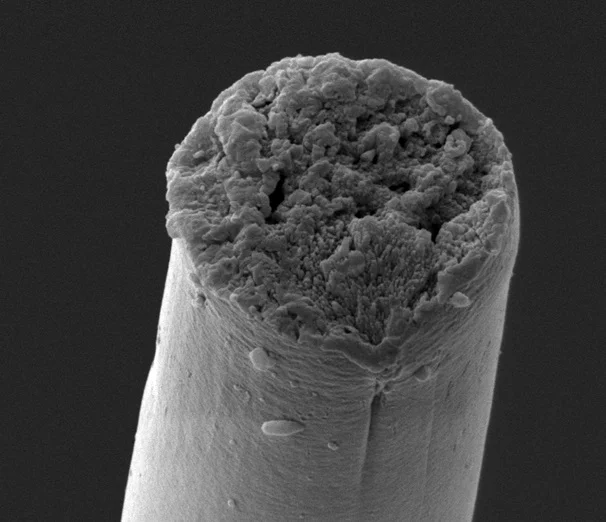 A microscope image of a strand of the new biosynthetic spider silk