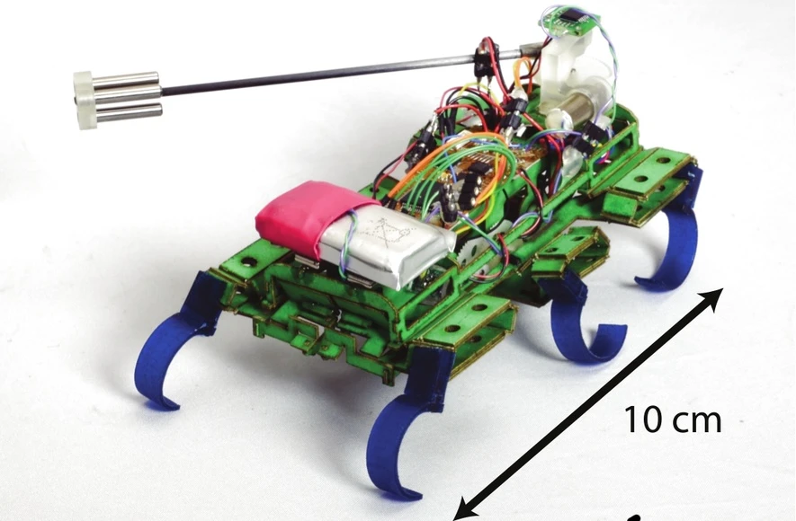 The 100-mm scale Hexapedal robot TAYLRoACH can rapidly maneuver with 90 degrees turns while running (Photo: UC Berkeley Biomimetic Millisystems Lab)