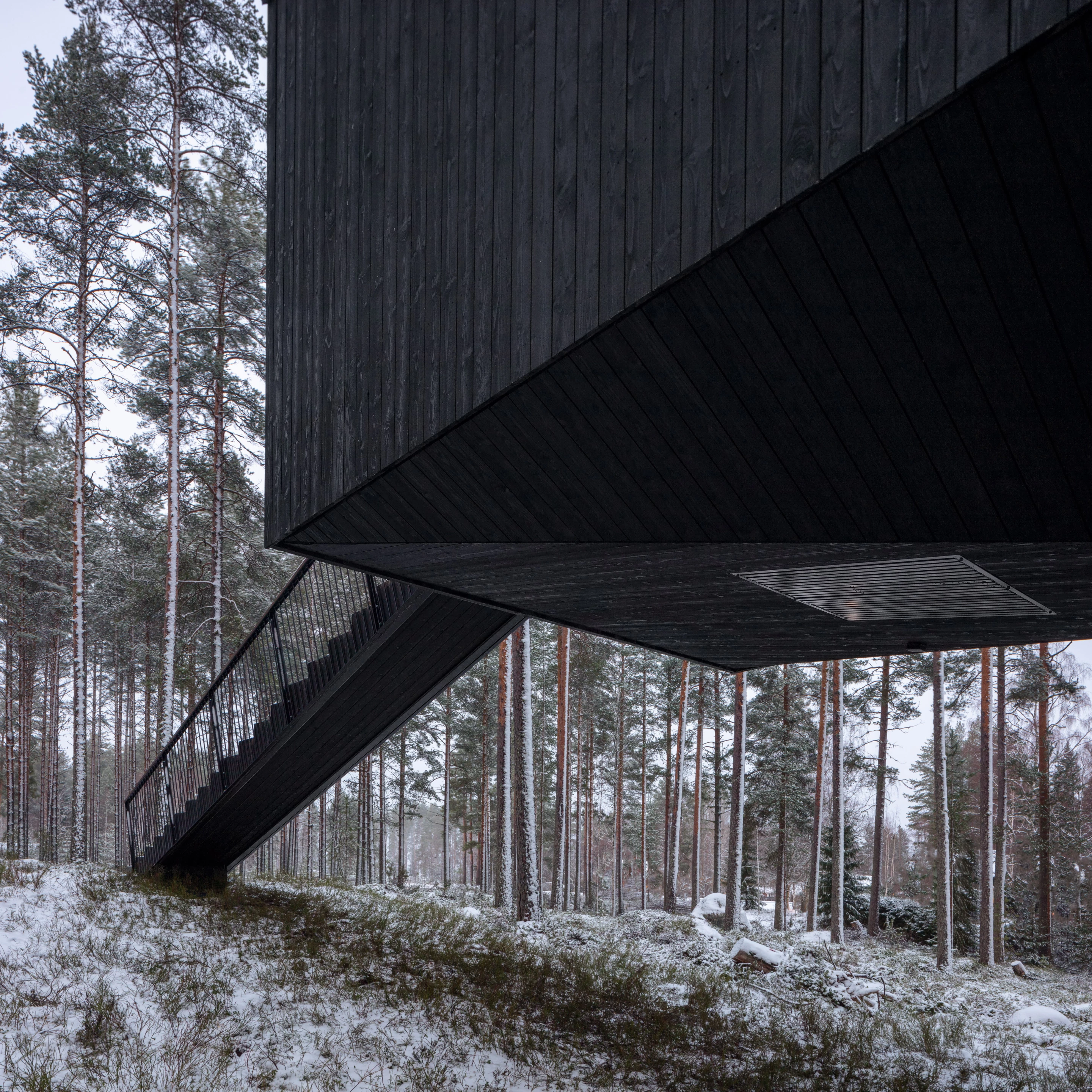 The hut is raised above the ground and is designed to have a minimal footprint on the existing natural forest