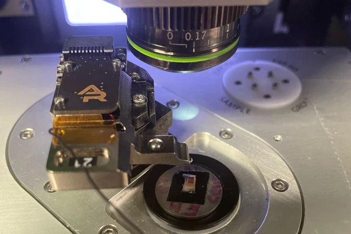 One of the red oak cubes utilized in the study (bottom, on black square) undergoes analysis