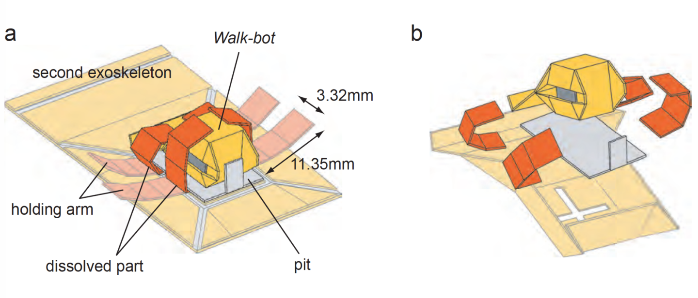 Diagram of how the exoskeletons are fitted on the Primer robot