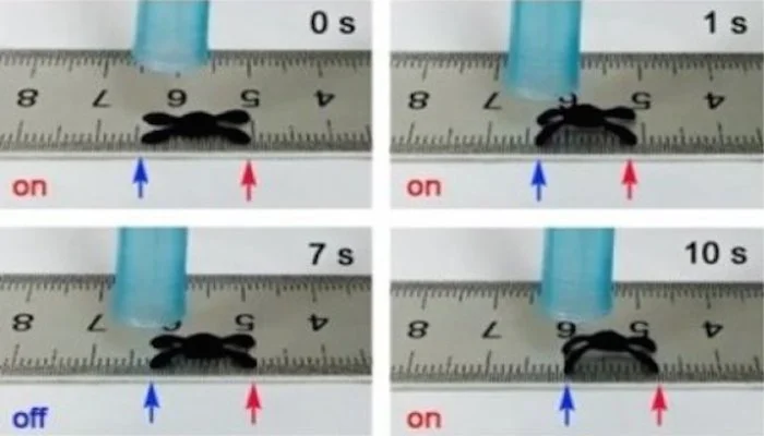 A mini moisture-powered critter made of graphene oxide moved a few millimeters using only changes in humidity