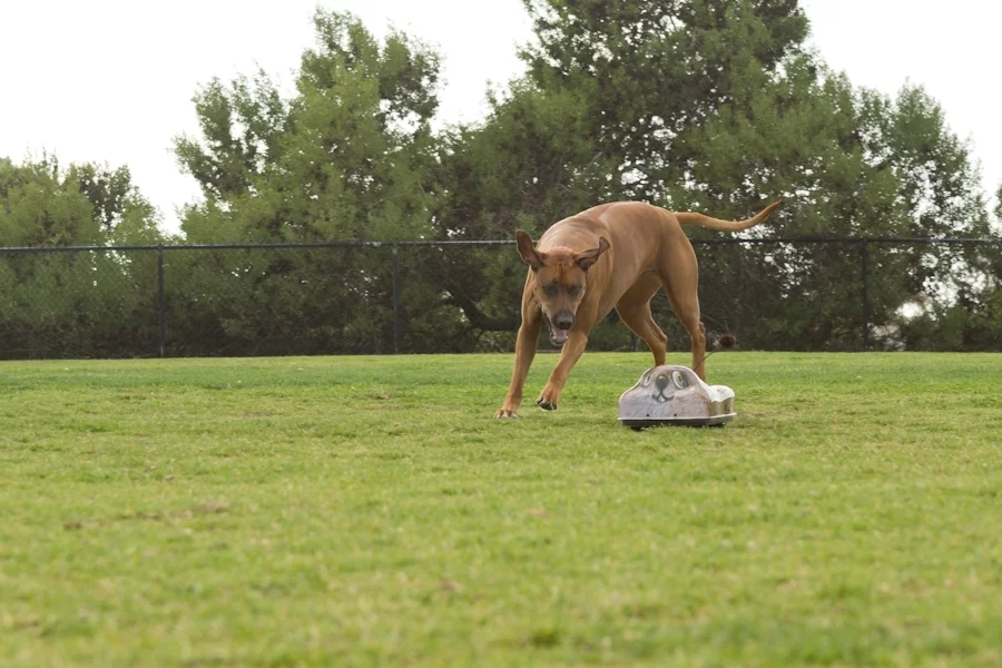 Under the various shaped and sized covers is a 280mm high torque dual motor, four-wheel drive vehicle which can power along at 35km/h