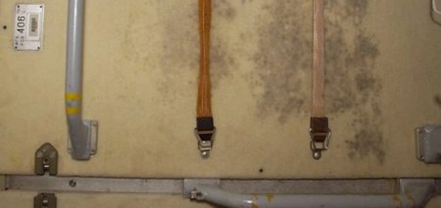 Mold grows on the International Space Station on a panel where exercise clothes were hung to dry