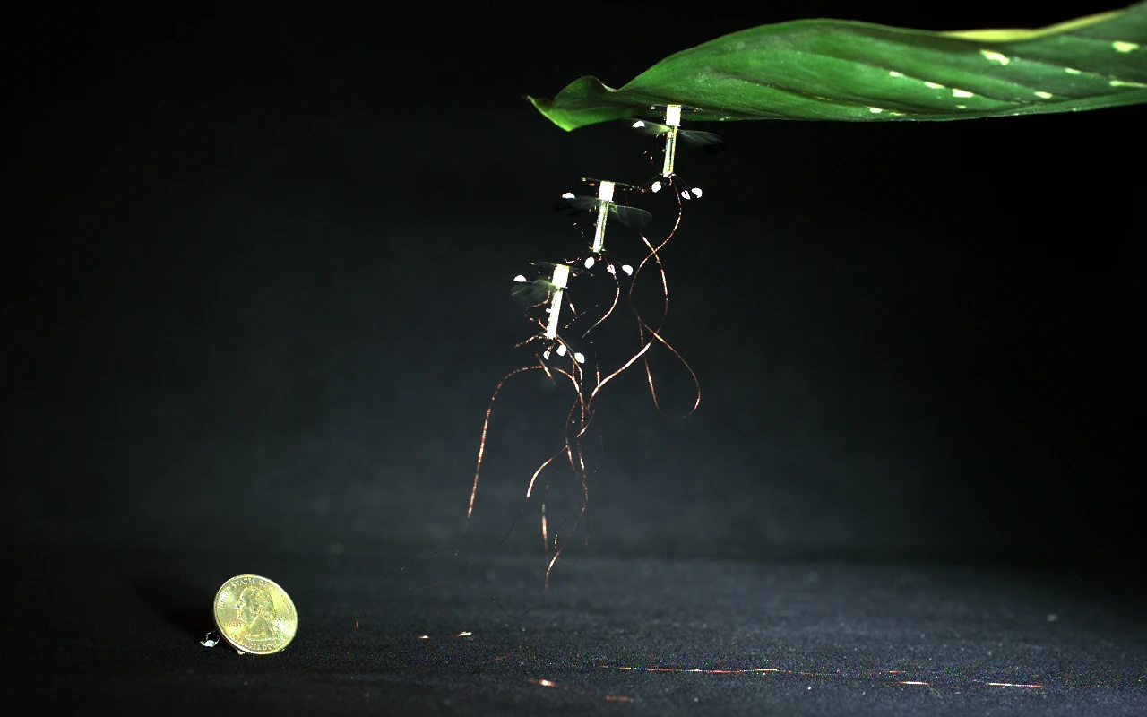 The RoboBee can now stick to almost any surface during flight to save energy
