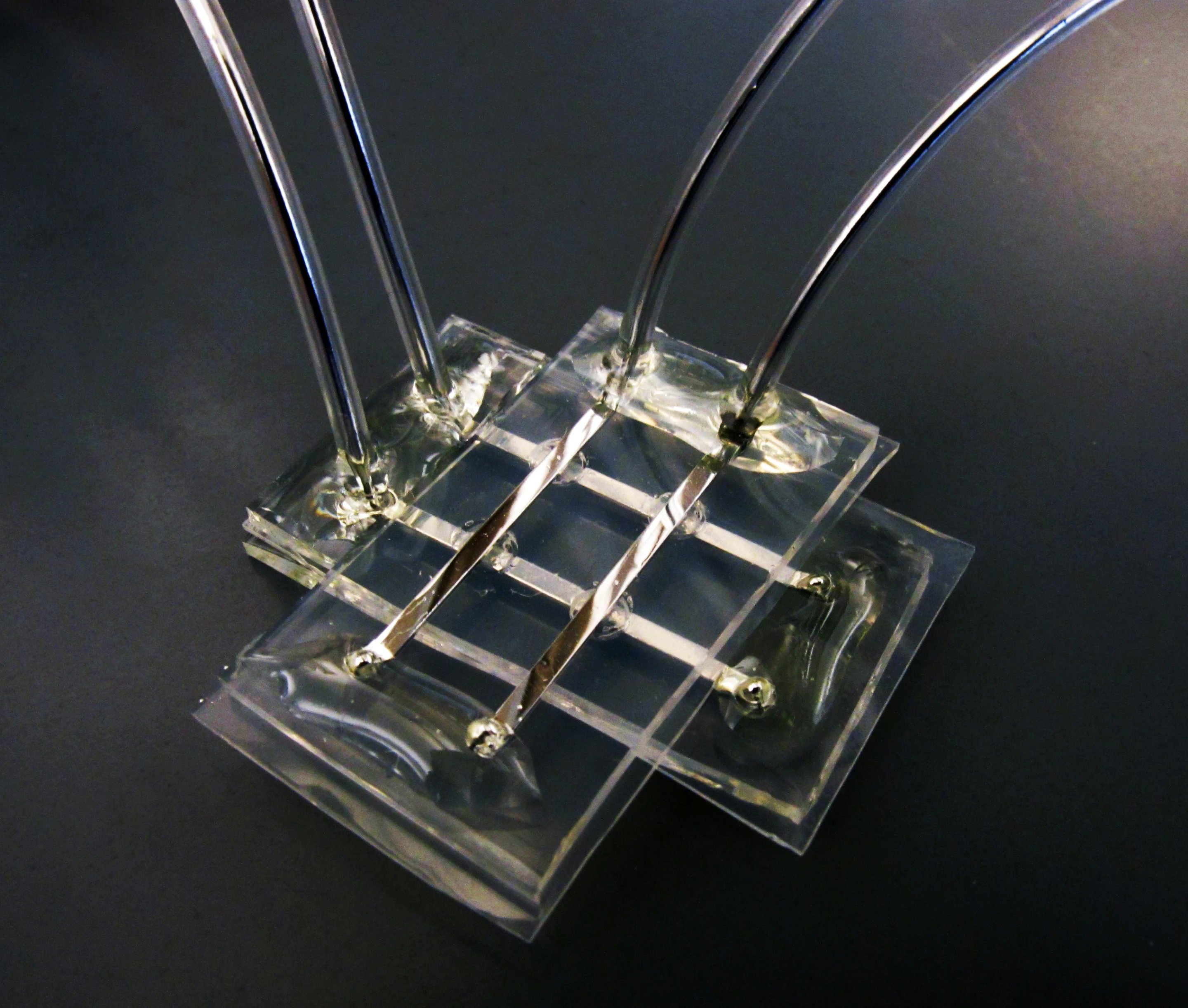 Researchers have developed a memory device that is soft and squishy, and not affected by wet environments (Photo: Michael Dickey, North Carolina State University)