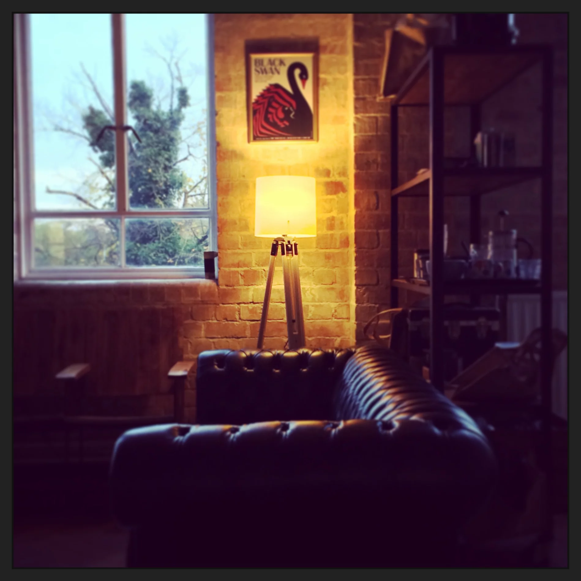 Phlite lamps can be used to temporarily convert a camera or tripod into a stylish light