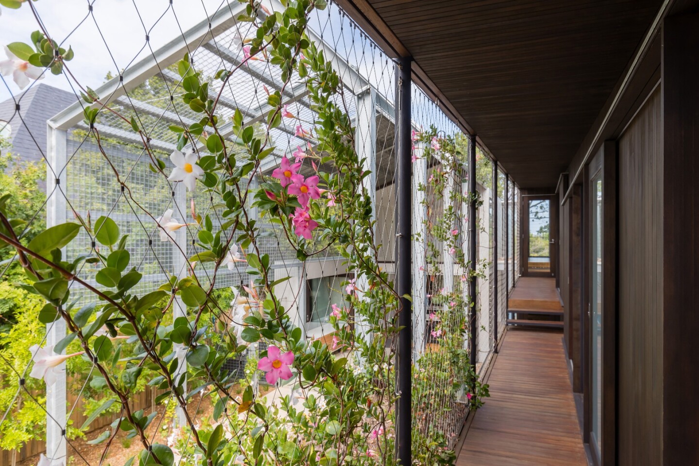 The Iron Maiden House in Sydney features elevated outdoor walkways that overlook the pool below