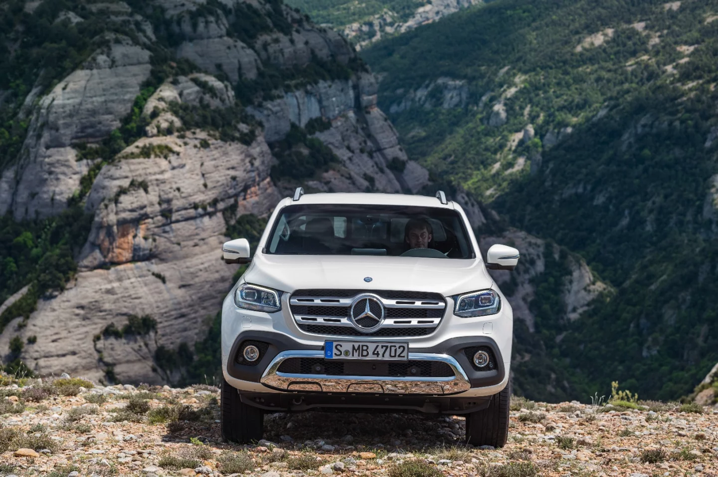 The X-Class roams the wild
