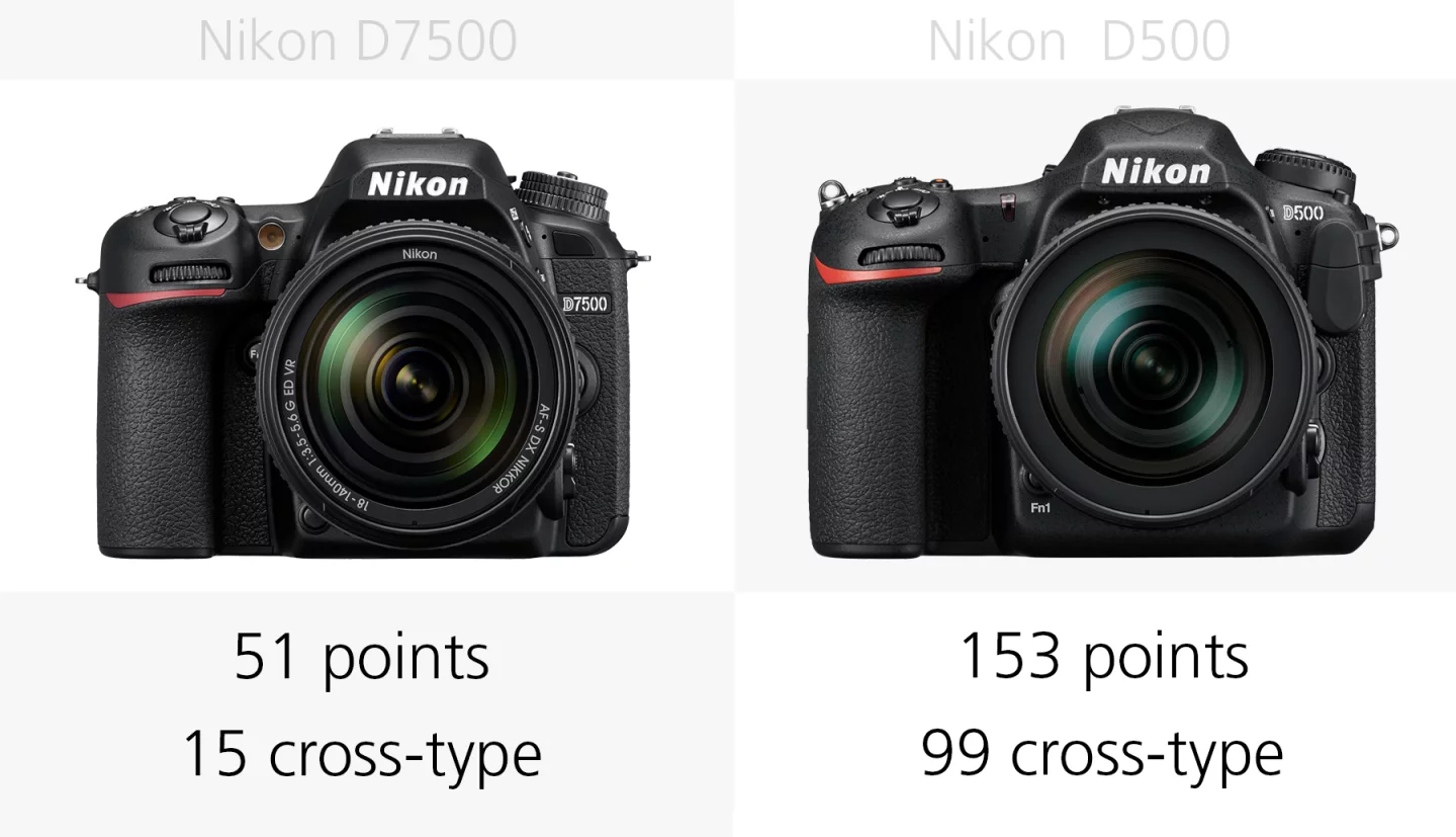The autofocus systems of the Nikon D7500 and Nikon D500 compared