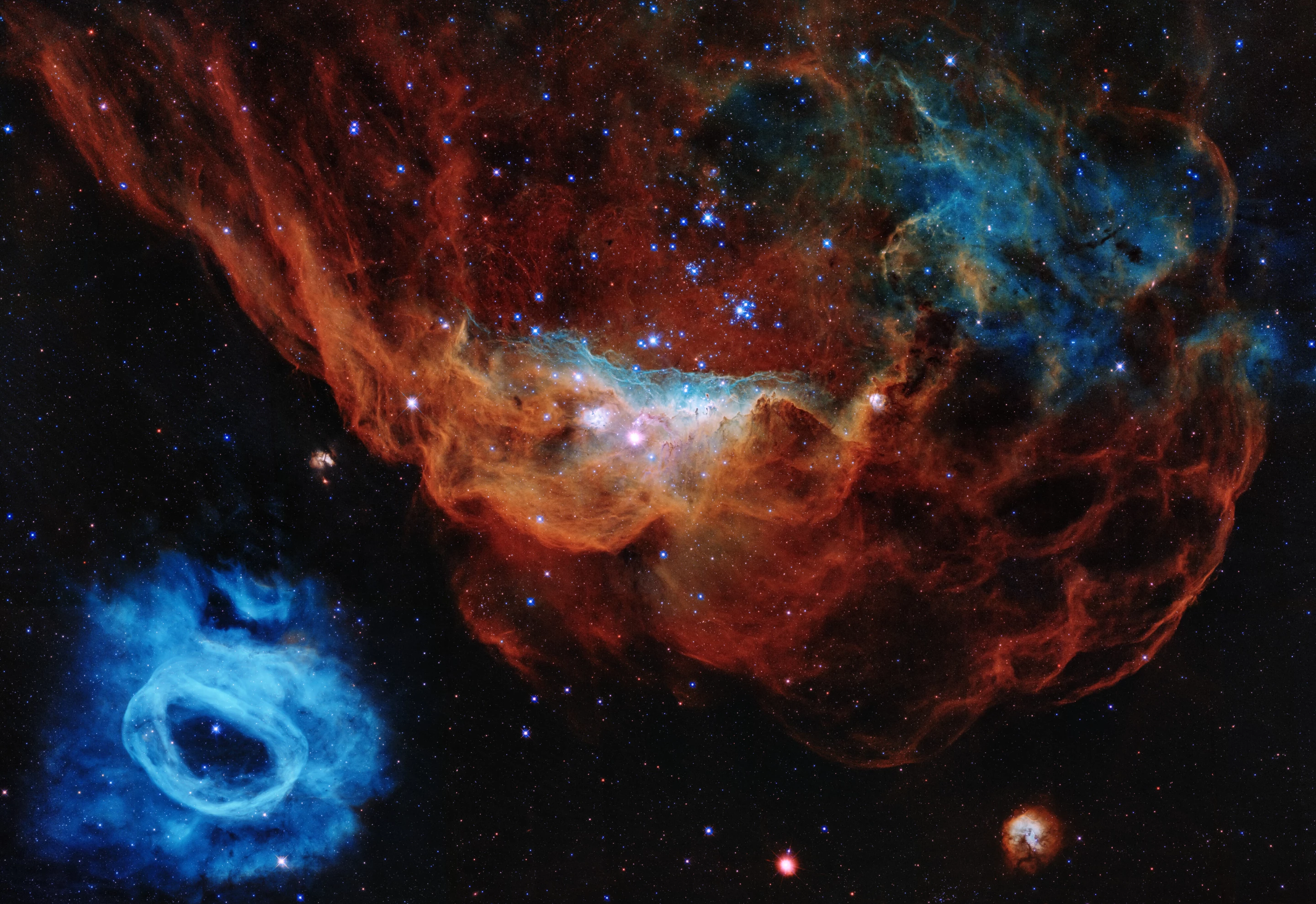 The nebulae have been called the 'Cosmic Reef' because of their resemblance to coral structures in Earth's oceans