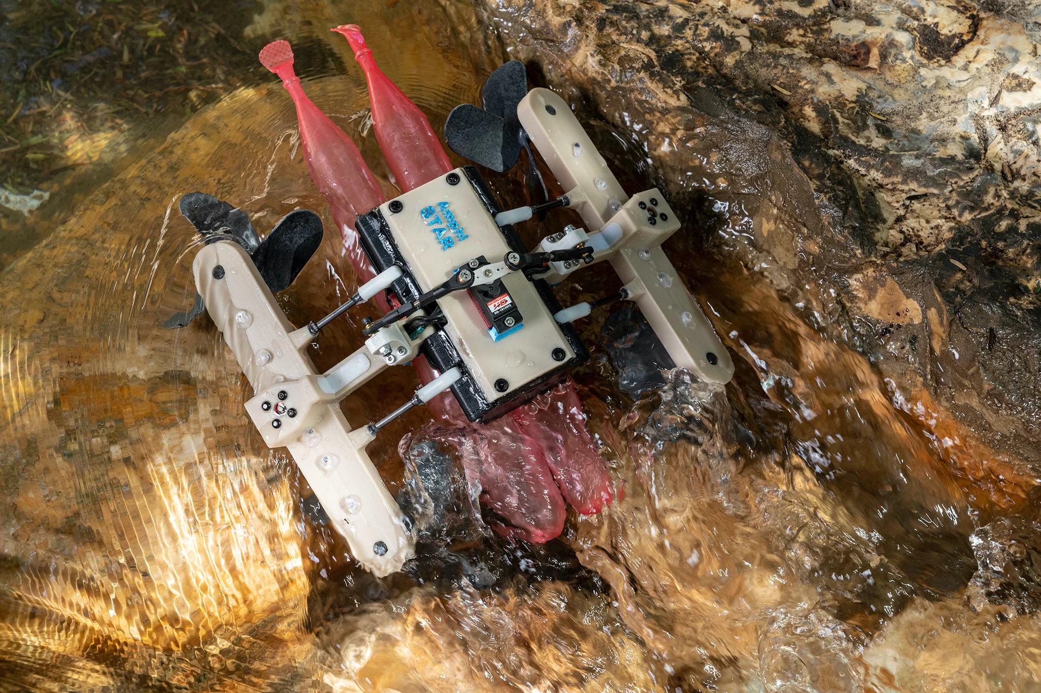 The AmphiSTAR robot crawls down a stream